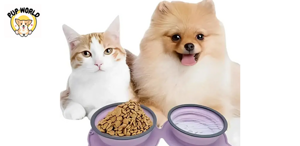 The Ultimate Guide to Choosing the Right Dog Feeder for Your Pup