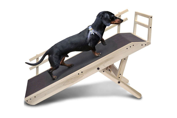 Best Adjustable Dog Ramps & Stairs for Every Pup