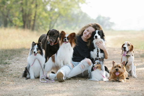 How to Welcome a New Pet into a Multi-Pet Household