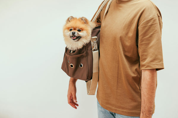 Premium Dog Supplies for Happy and Healthy Pets in Australia