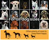 4x4m Dog Enclosure Kennel Large Chain DOgs Cat Cage Pet Animal Fencing Run Outdoor Fenced Playpen